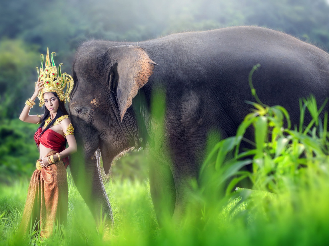 Девушка азиатка в красивом костюме с большим серым слоном