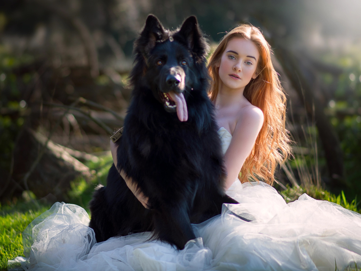 Красивая девушка невеста с большой черной собакой