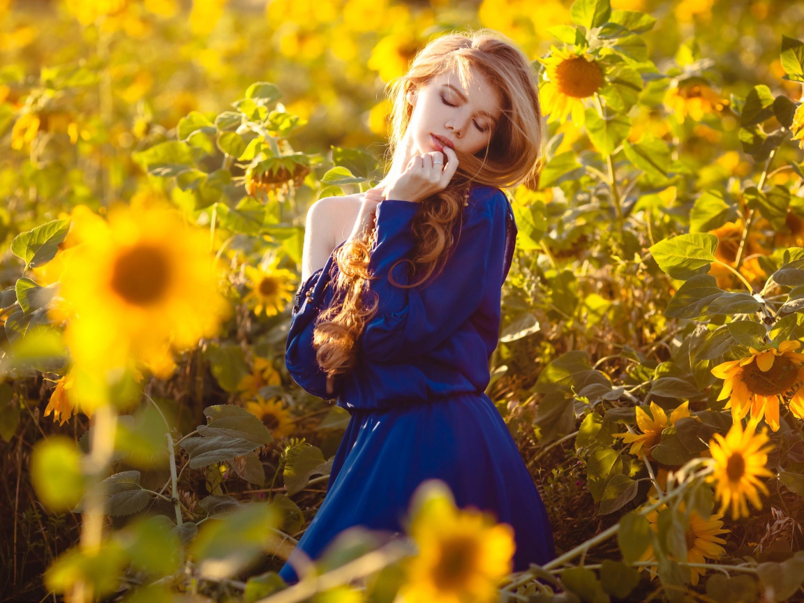 Красивая девушка в голубом платье в поле подсолнухов 