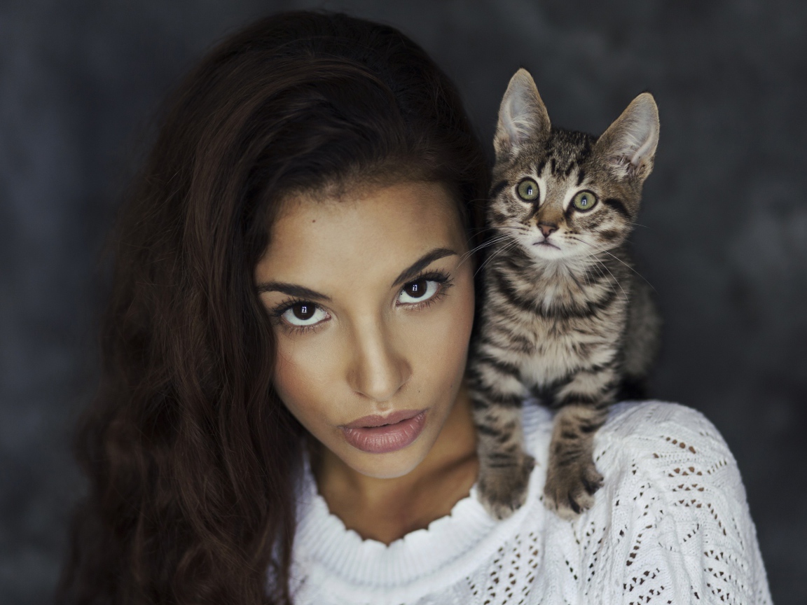 Красивая девушка с серым котенком на плече 