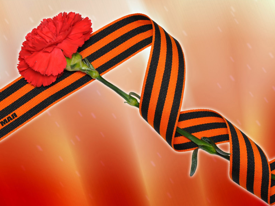 Красная гвоздика и георгиевская лента на 9 мая 