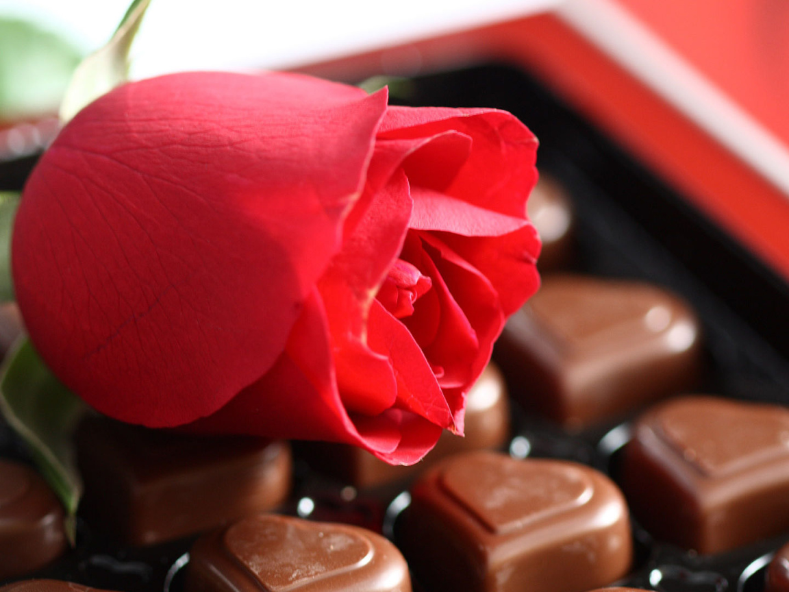 Конфеты в форме сердца и красная роза 