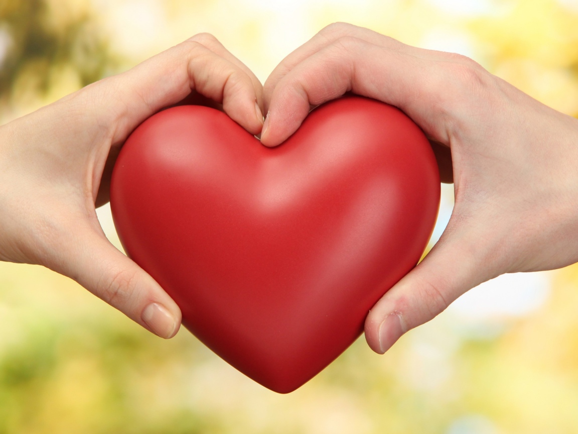 Парень и девушка  держат в руках большое красное сердце