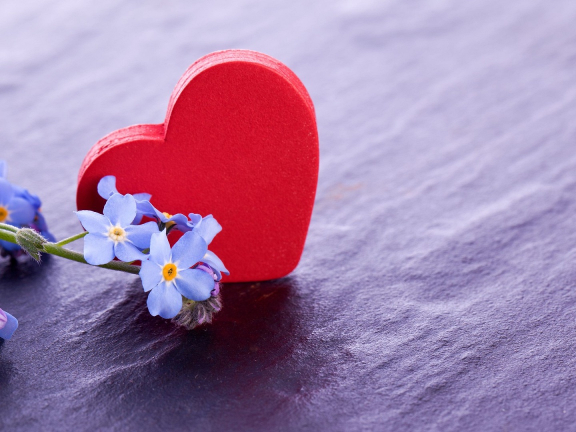 Красное сердце и нежные голубые цветы  