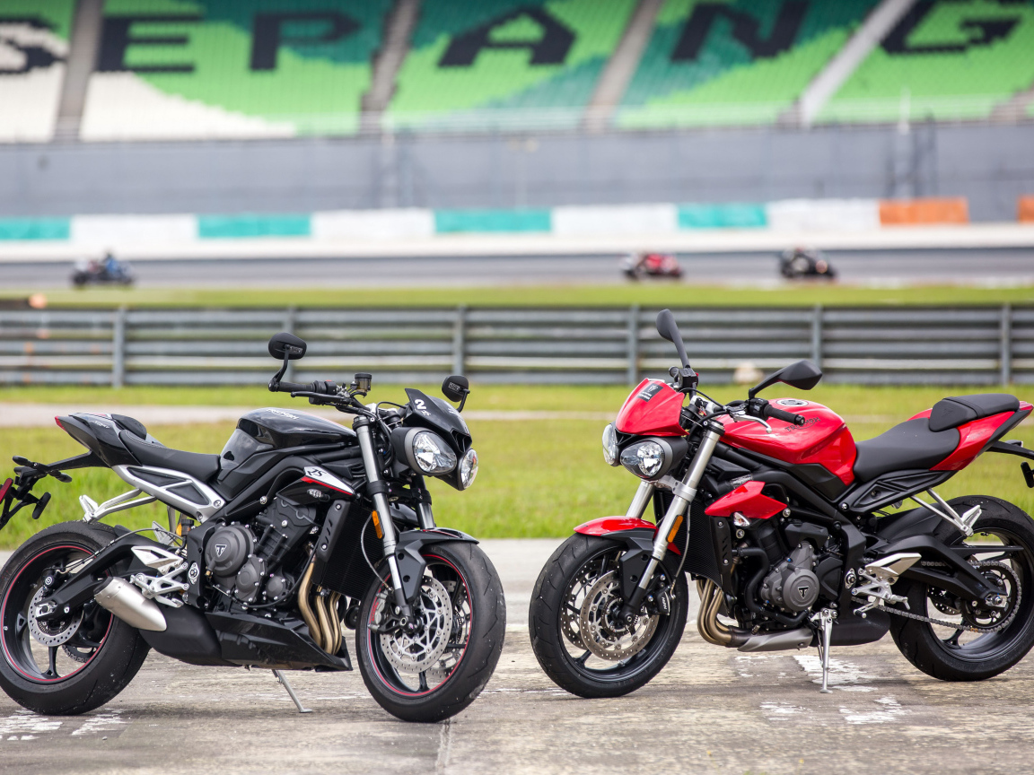 Черный и красный мотоциклы Triumph