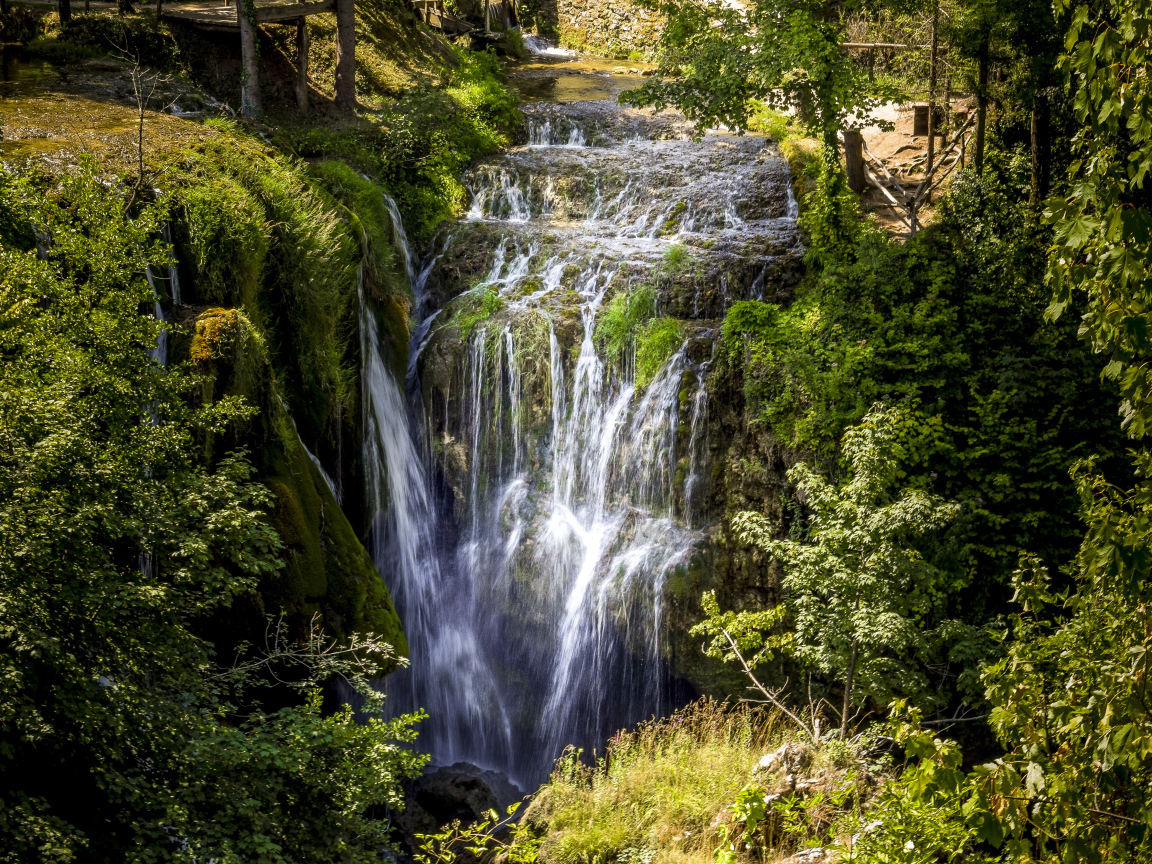 Красивый водопад стекает с утеса в лесу у покрытых зеленью деревьев
