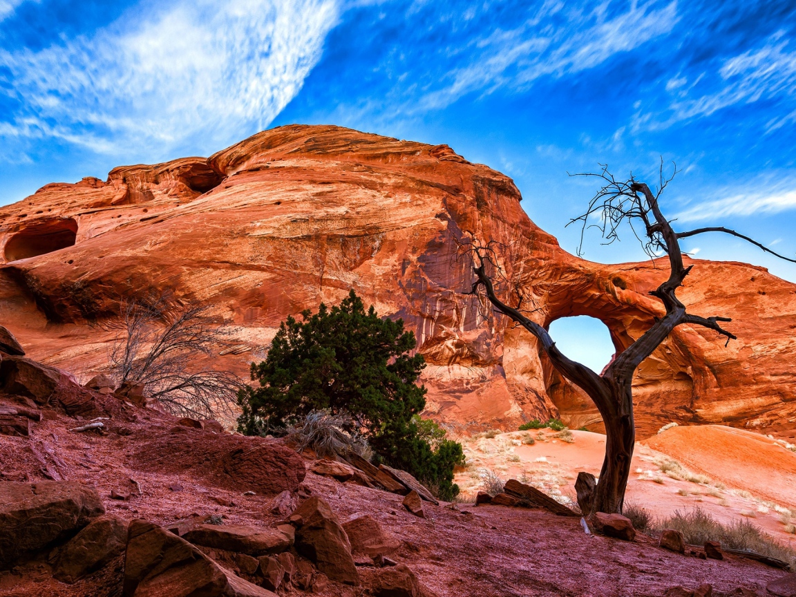 Каменный каньон под красивым голубым небом