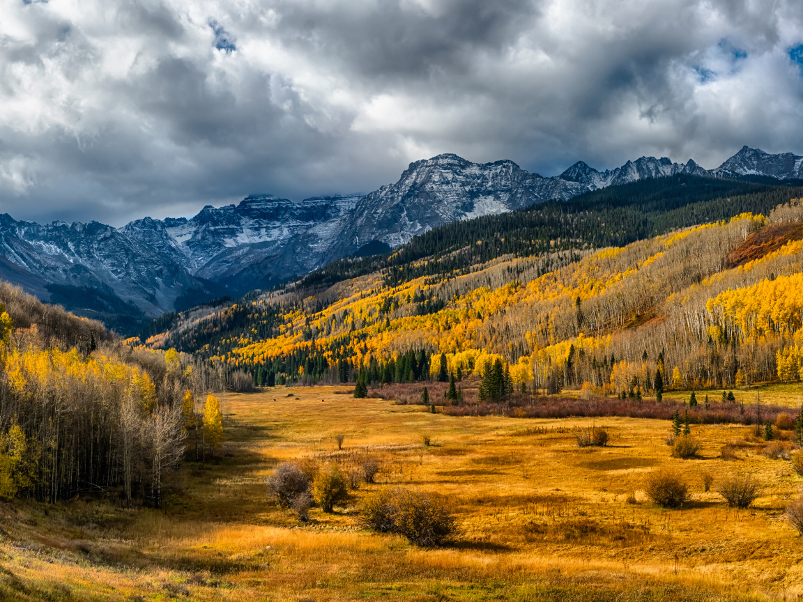 Осенний лес под большими белыми облаками в горах