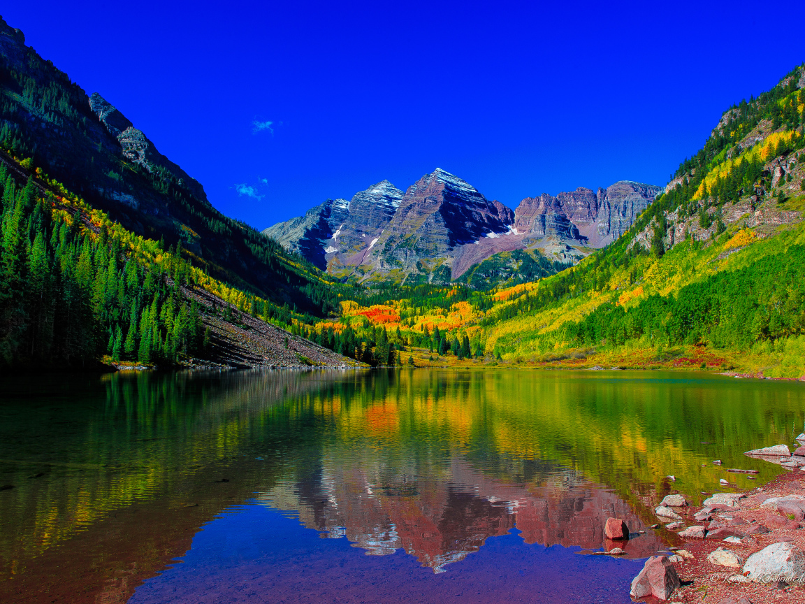 Красивая зеленая природа у водоема в горах 