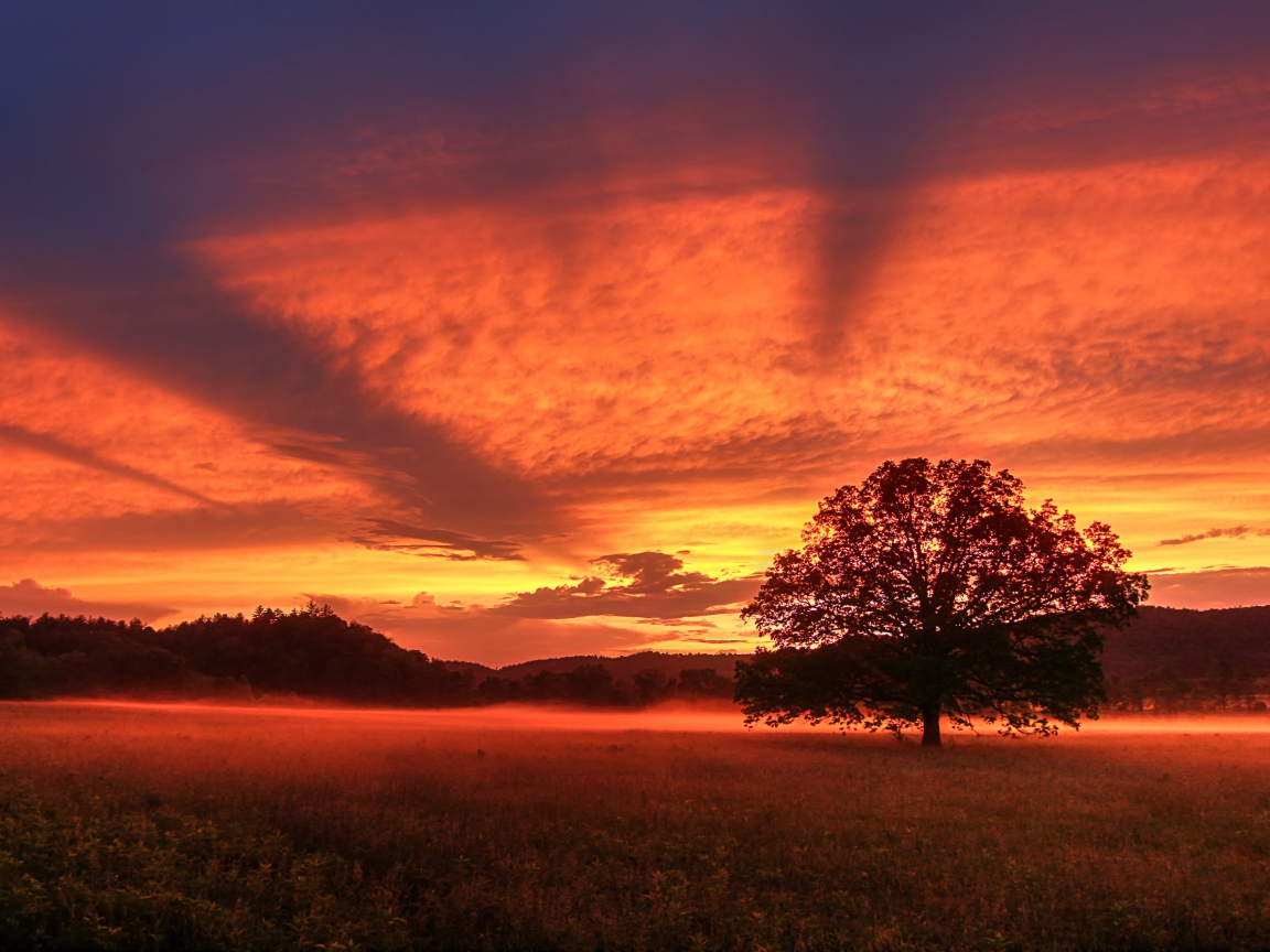 Красивое красное небо на закате  над полем