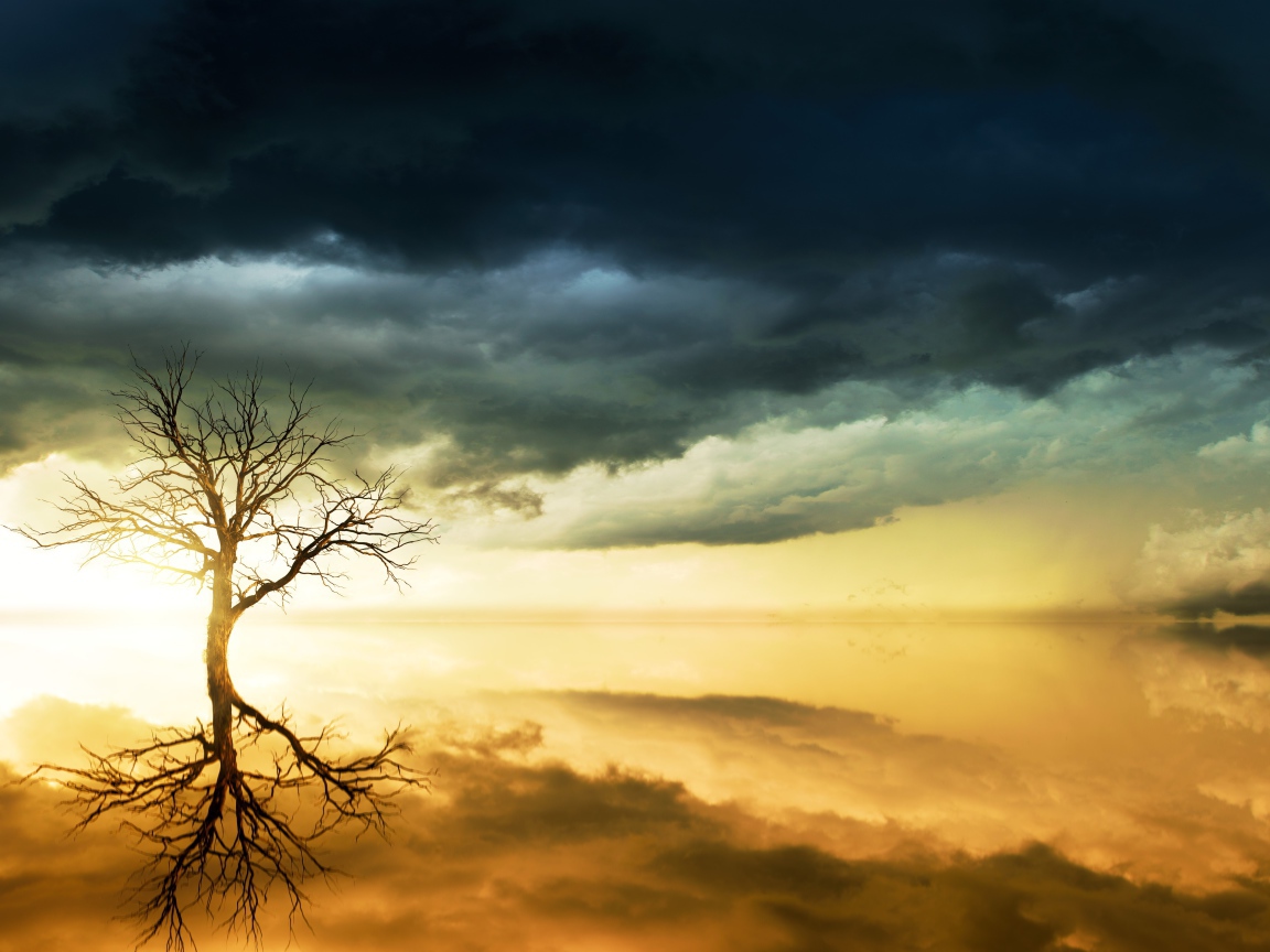 Черные облака в небе и дерево отражаются в воде