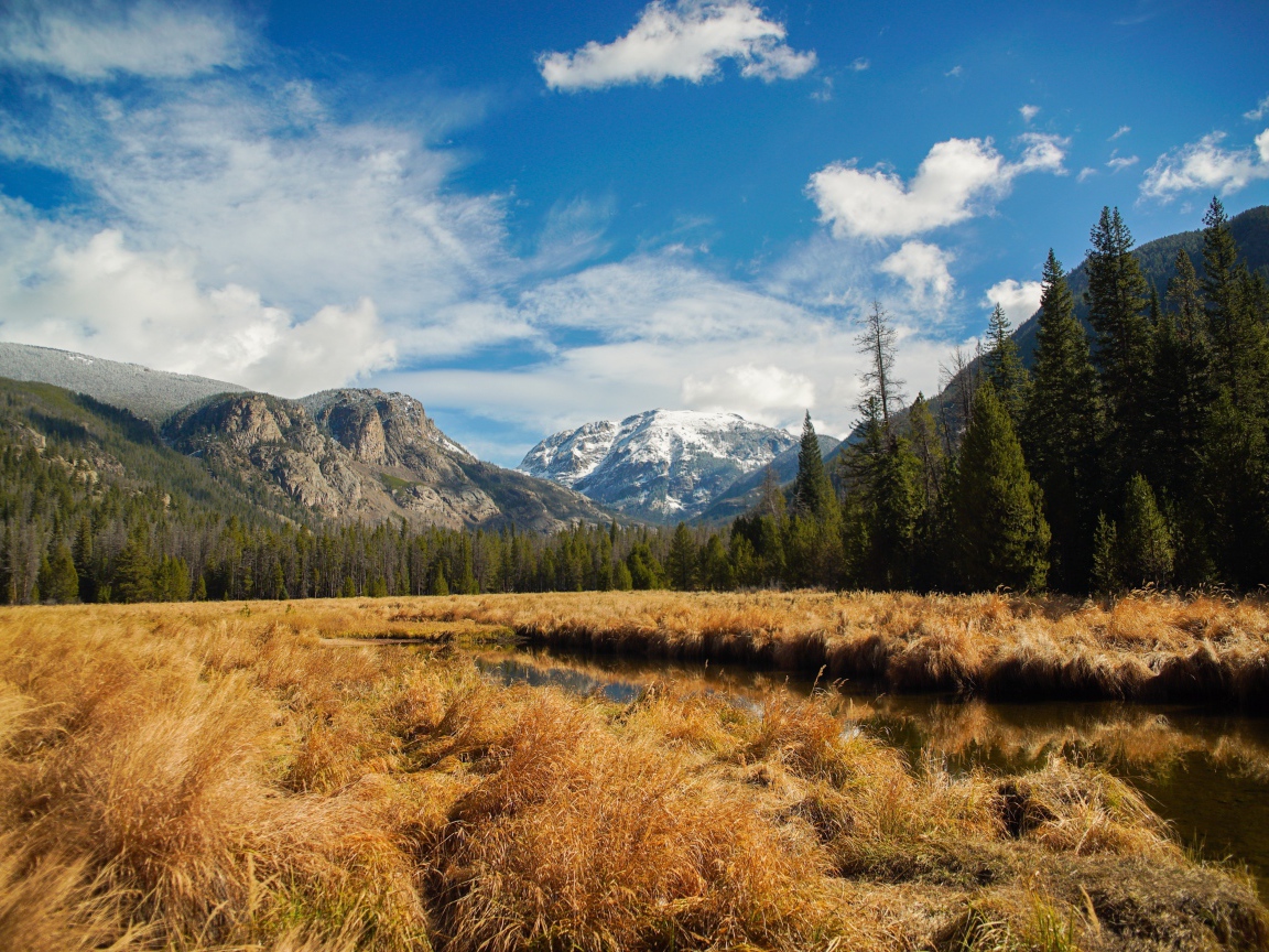 Сухая трава рядом с рекой на фоне гор 
