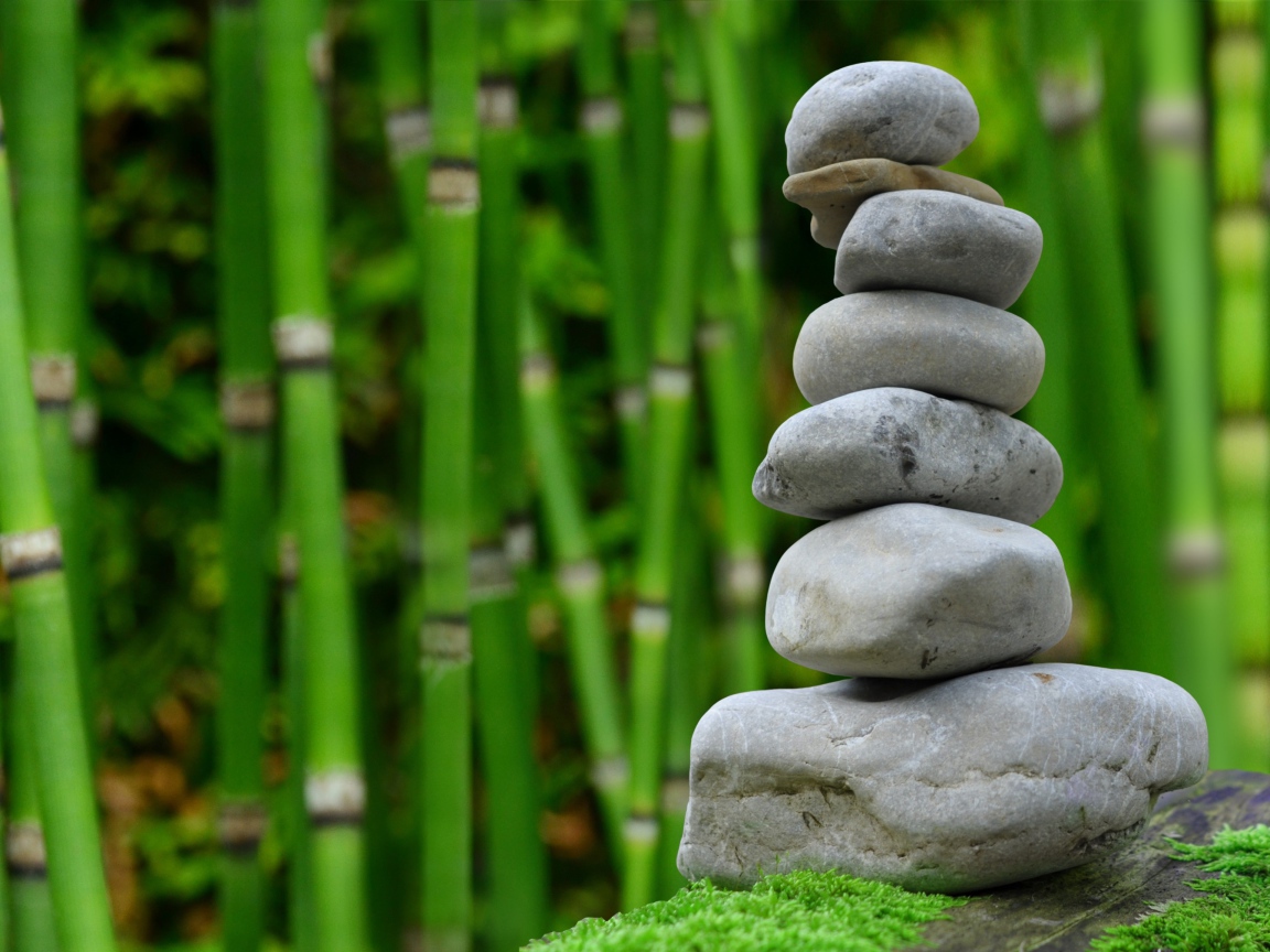 Серые камни на фоне зеленого бамбука