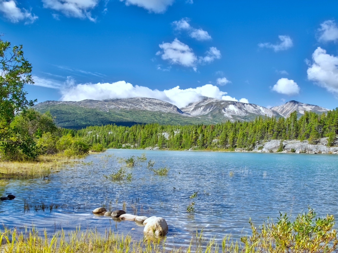 Летний пейзаж природы Аляски 