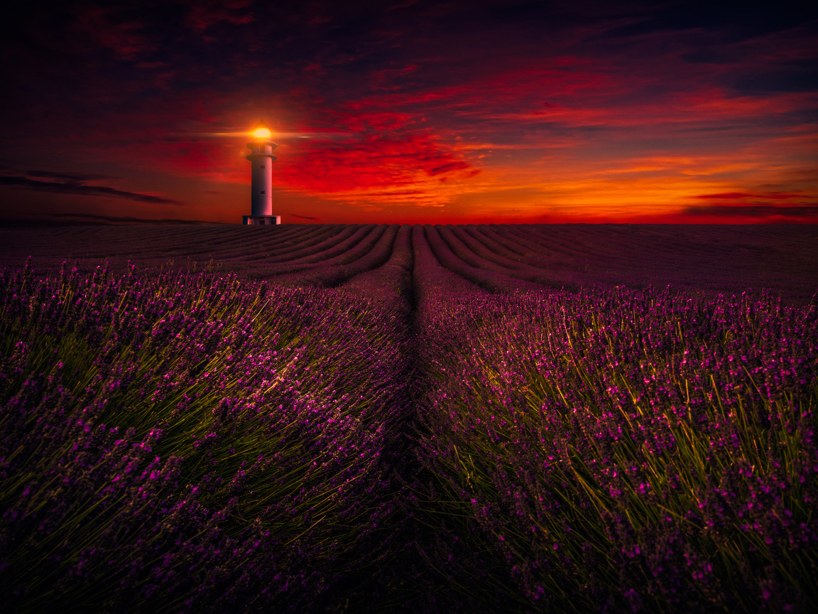 Маяк освещает лавандовое поле под красивым небом
