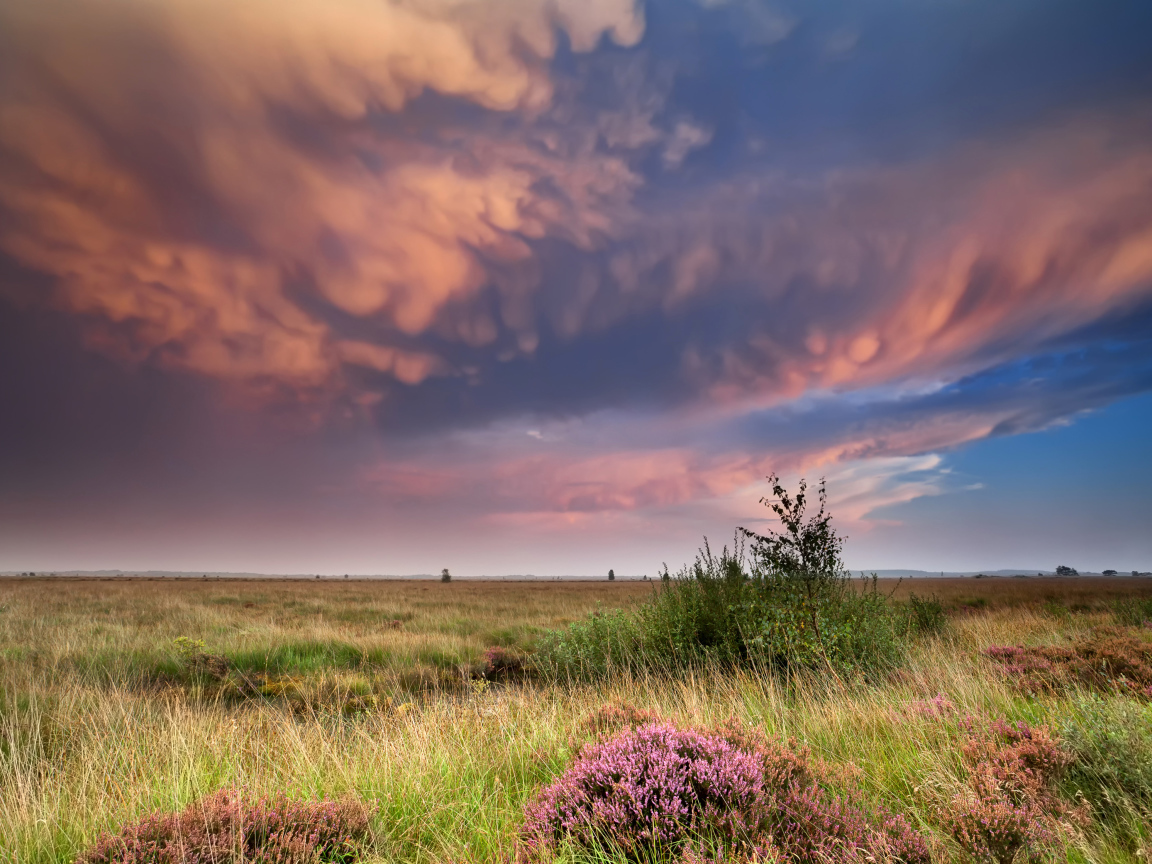 Красивые низкие облака в небе над полем