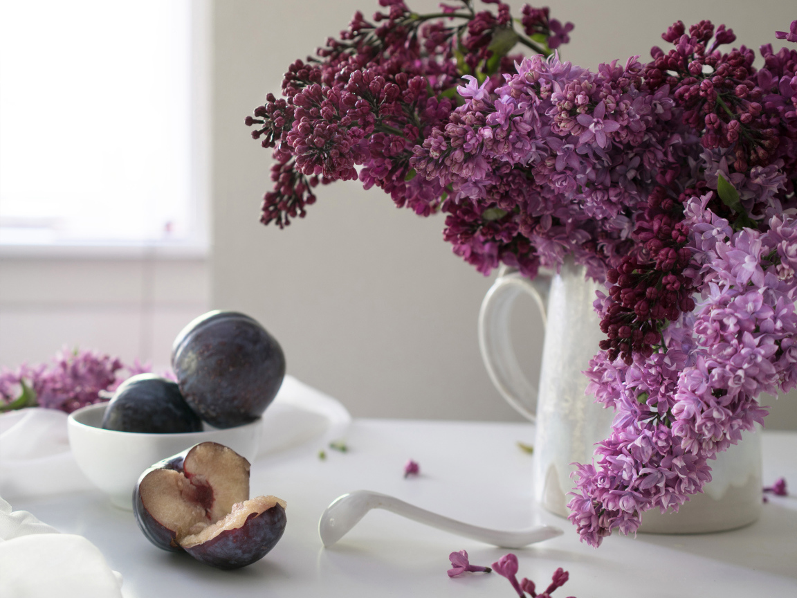 Красивый букет сирени в белой вазе на столе со сливами