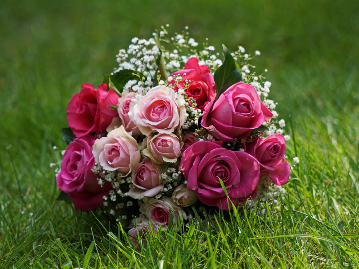 Букет роз лежит на зеленой траве