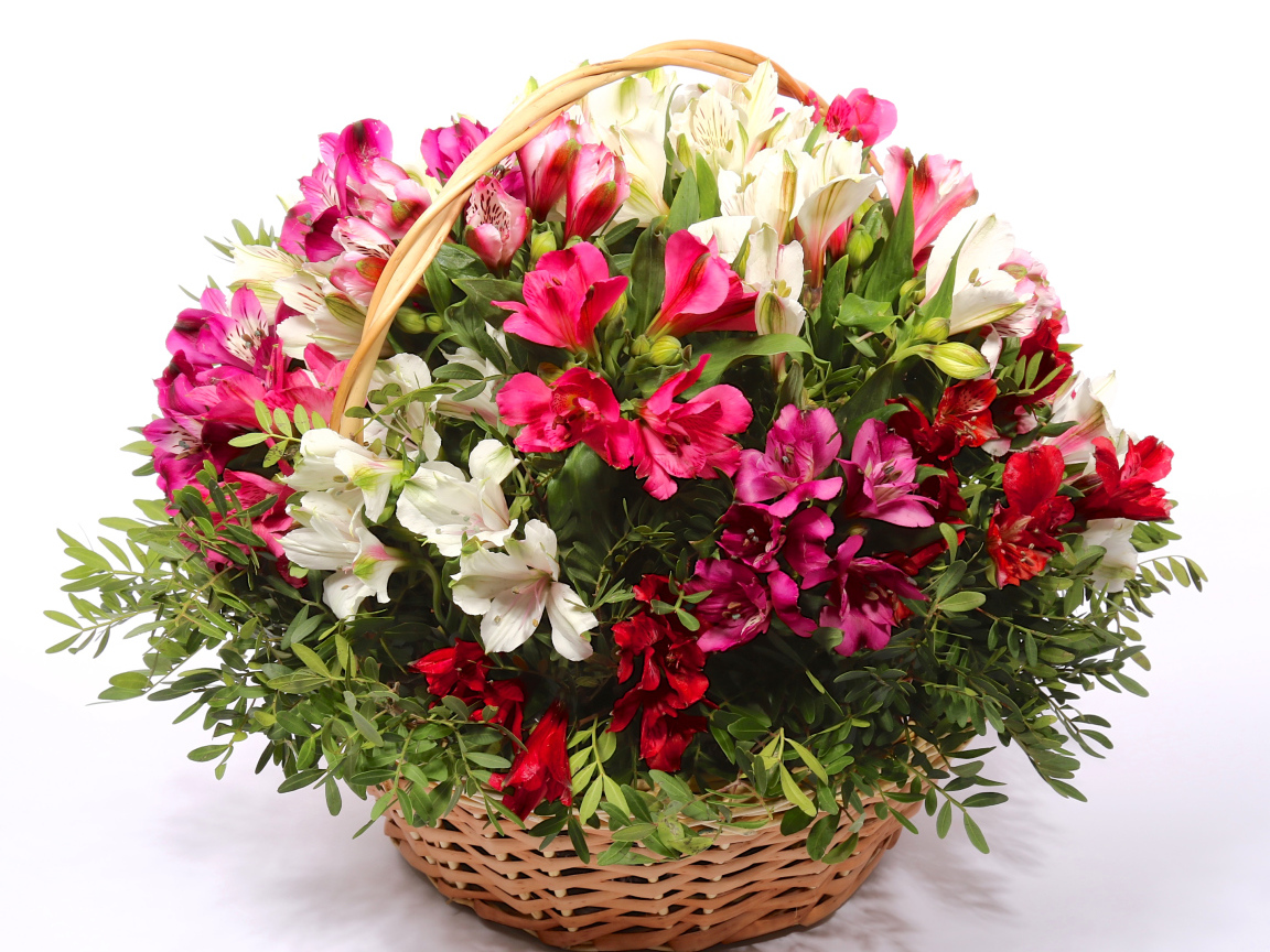 Букет цветов альстрёмерия в корзине на белом фоне