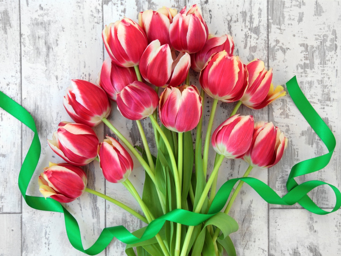 Букет розовых тюльпанов с зеленой лентой 
