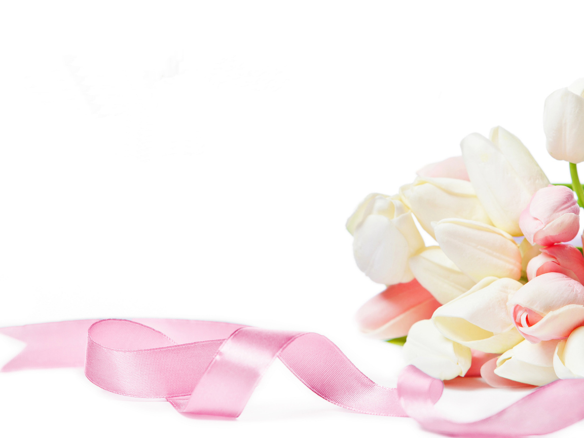 Букет тюльпанов с розовой лентой на белом фоне, шаблон для поздравительной открытки