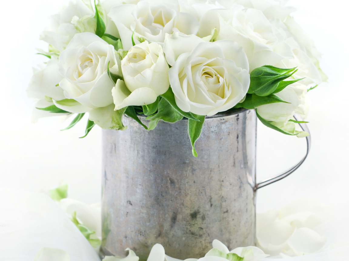 Букет белых роз в железной кружке на белом фоне