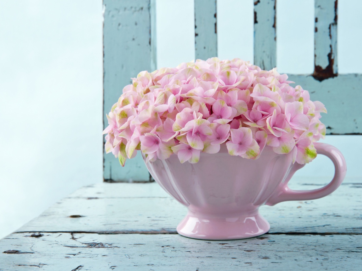 Нежные розовые цветы в белой вазе