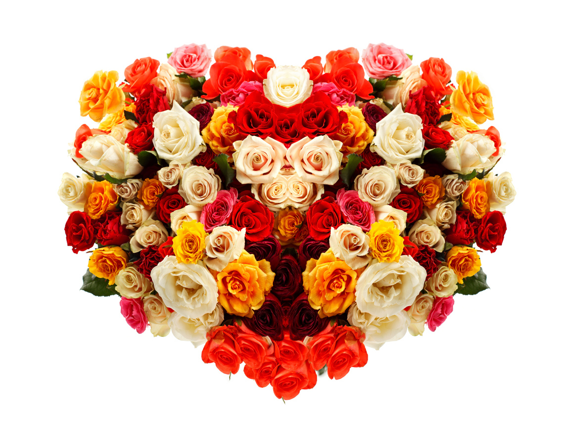 Сердце из разноцветных роз на белом фоне