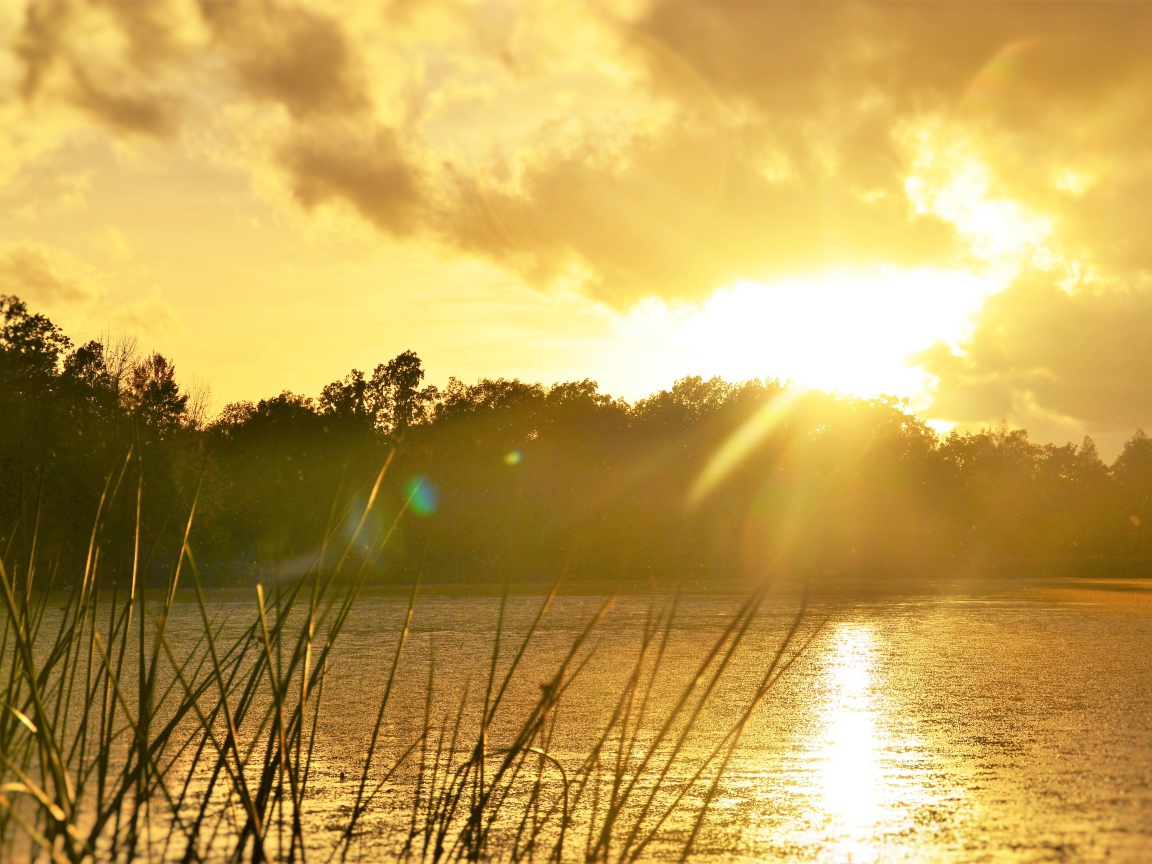 Восход солнца над лесным озером 