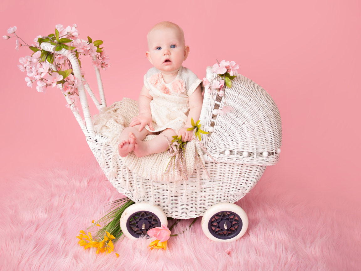 Младенец девочка сидит в коляске на розовом фоне