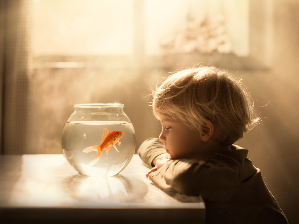 Маленький мальчик смотрит на аквариум с золотой рыбкой