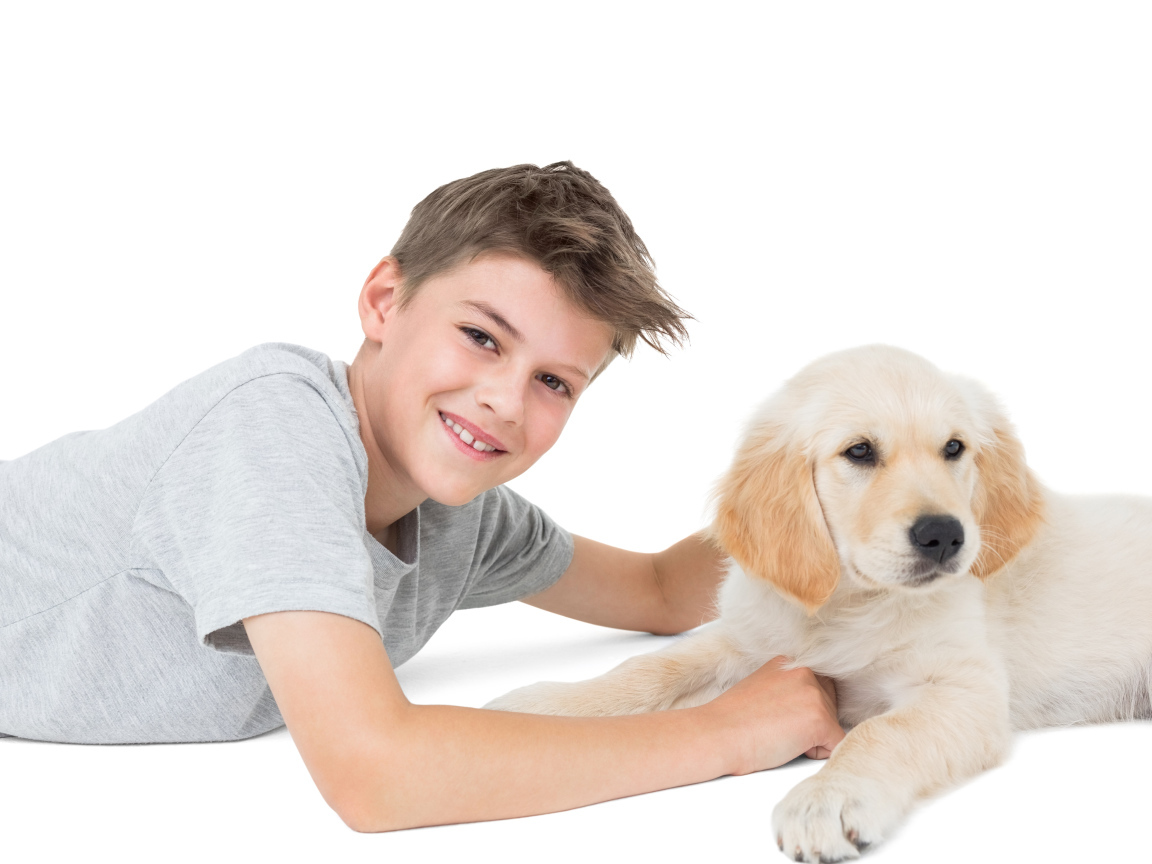 Маленький мальчик с щенком ретривера на белом фоне
