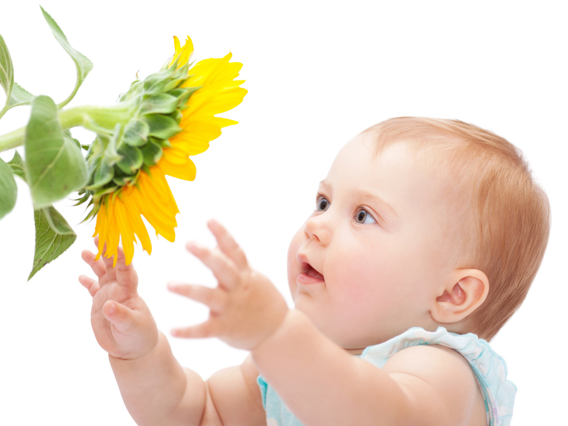 Маленькая милая девочка с подсолнухом на белом фоне