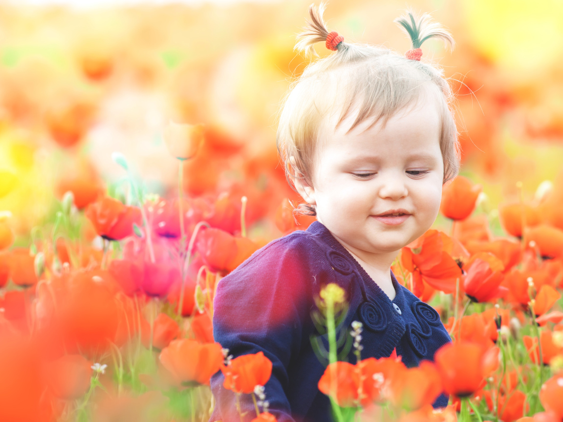 Маленькая девочка в красных цветах мака 