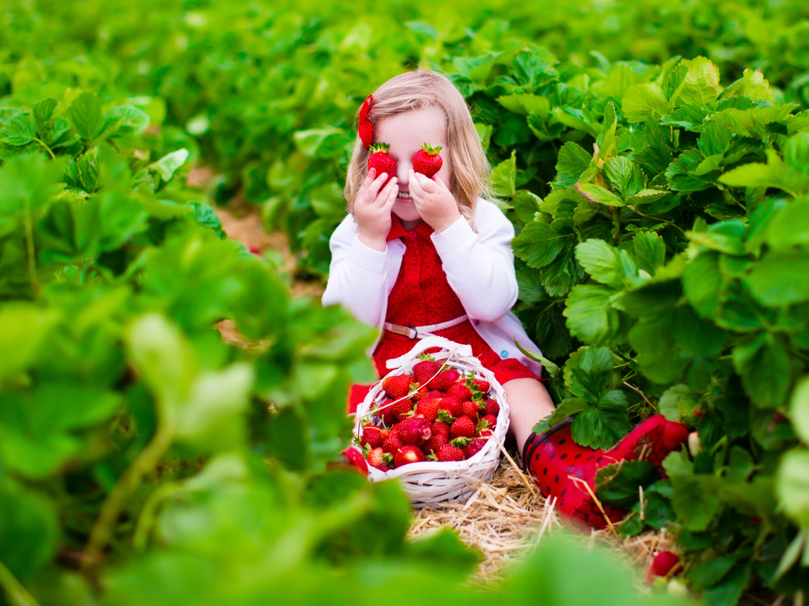 Маленькая девочка сидит на грядке с красной клубникой