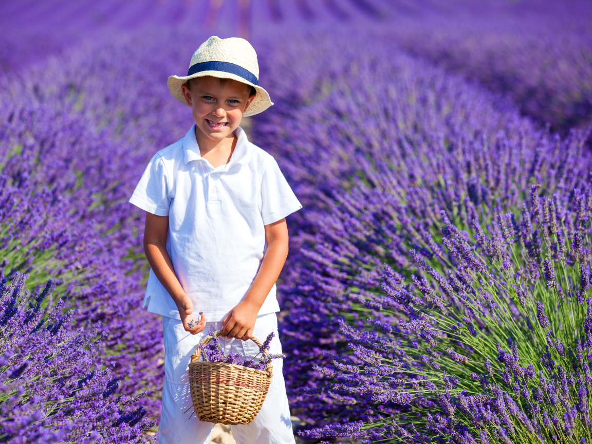 Улыбающийся мальчик на поле фиолетовой лаванды