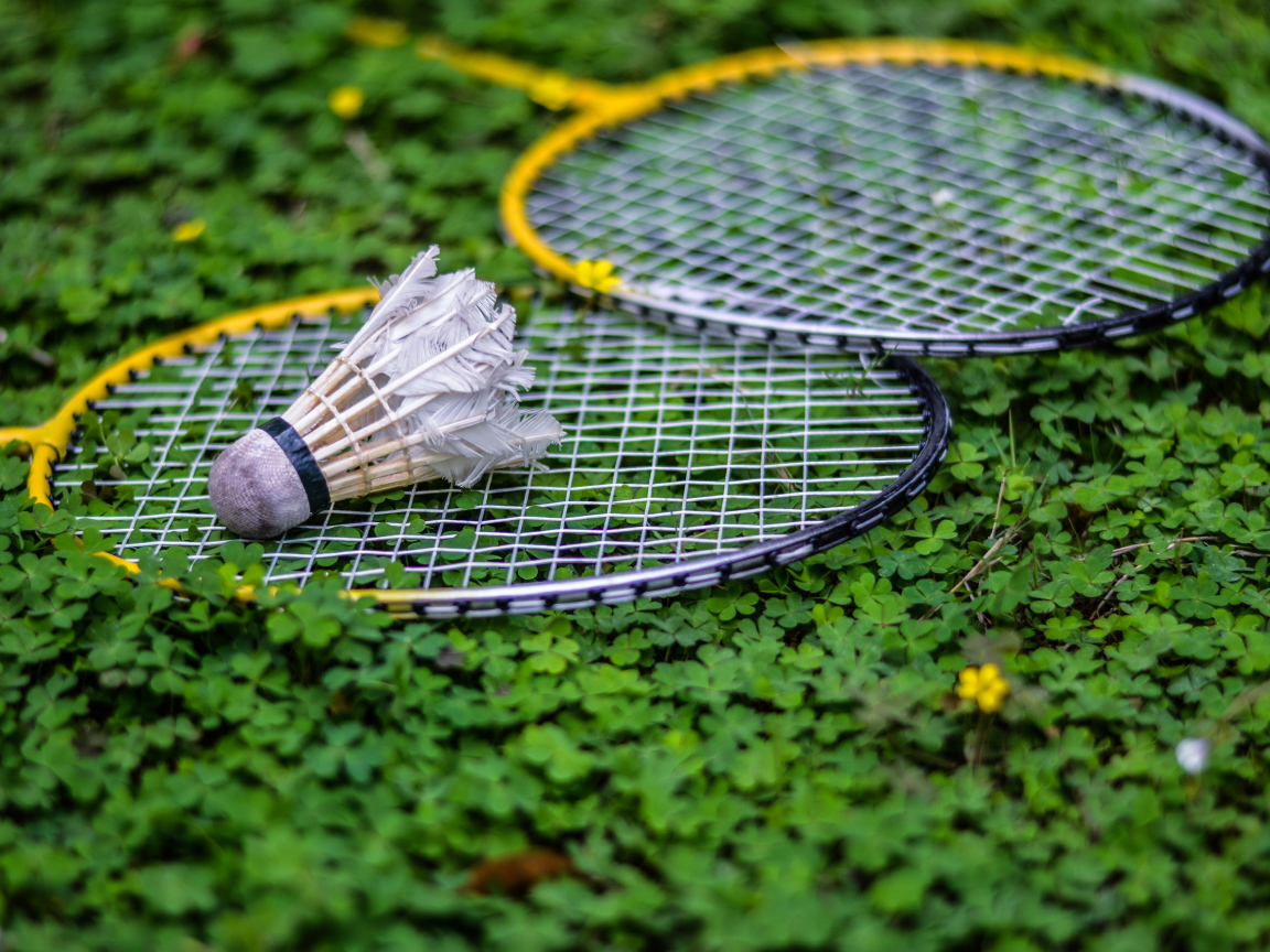 Теннисные ракетки и воланчик лежат на зеленой траве