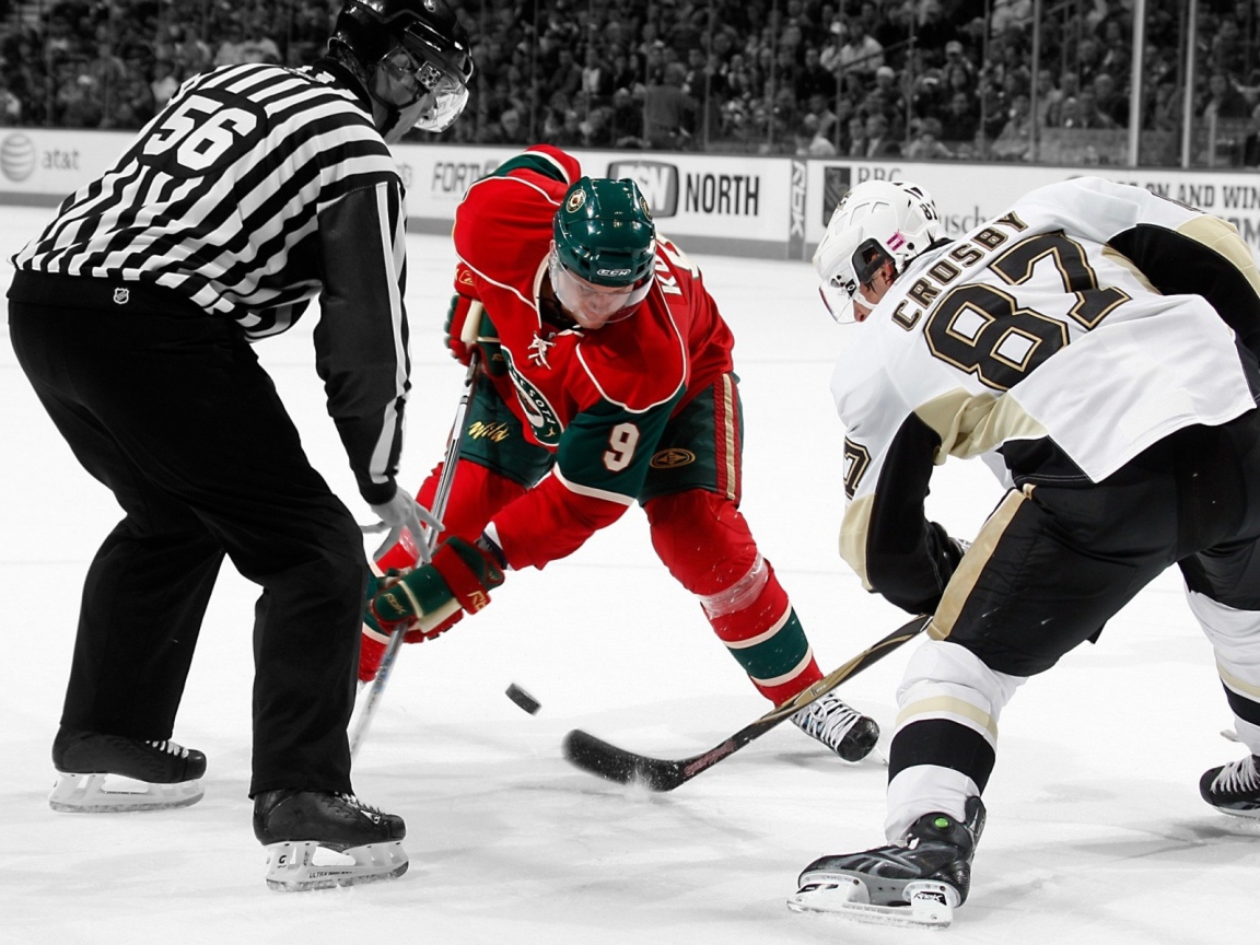 Вбрасывание шайбы в игру, хоккей 