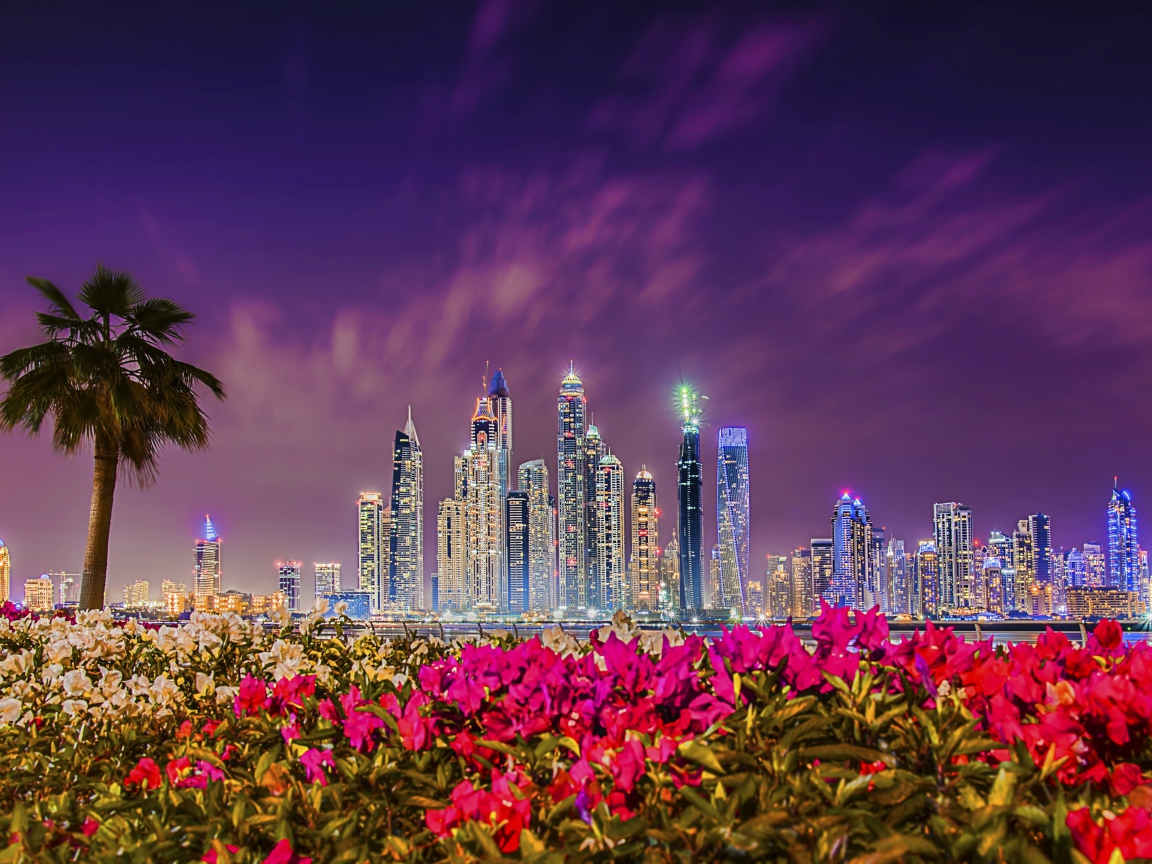 Вид на ночные небоскребы Дубая 