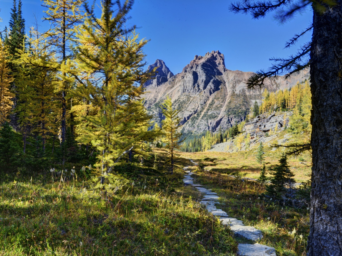 Пейзаж в живописном национальном парке Йохо, Канада 