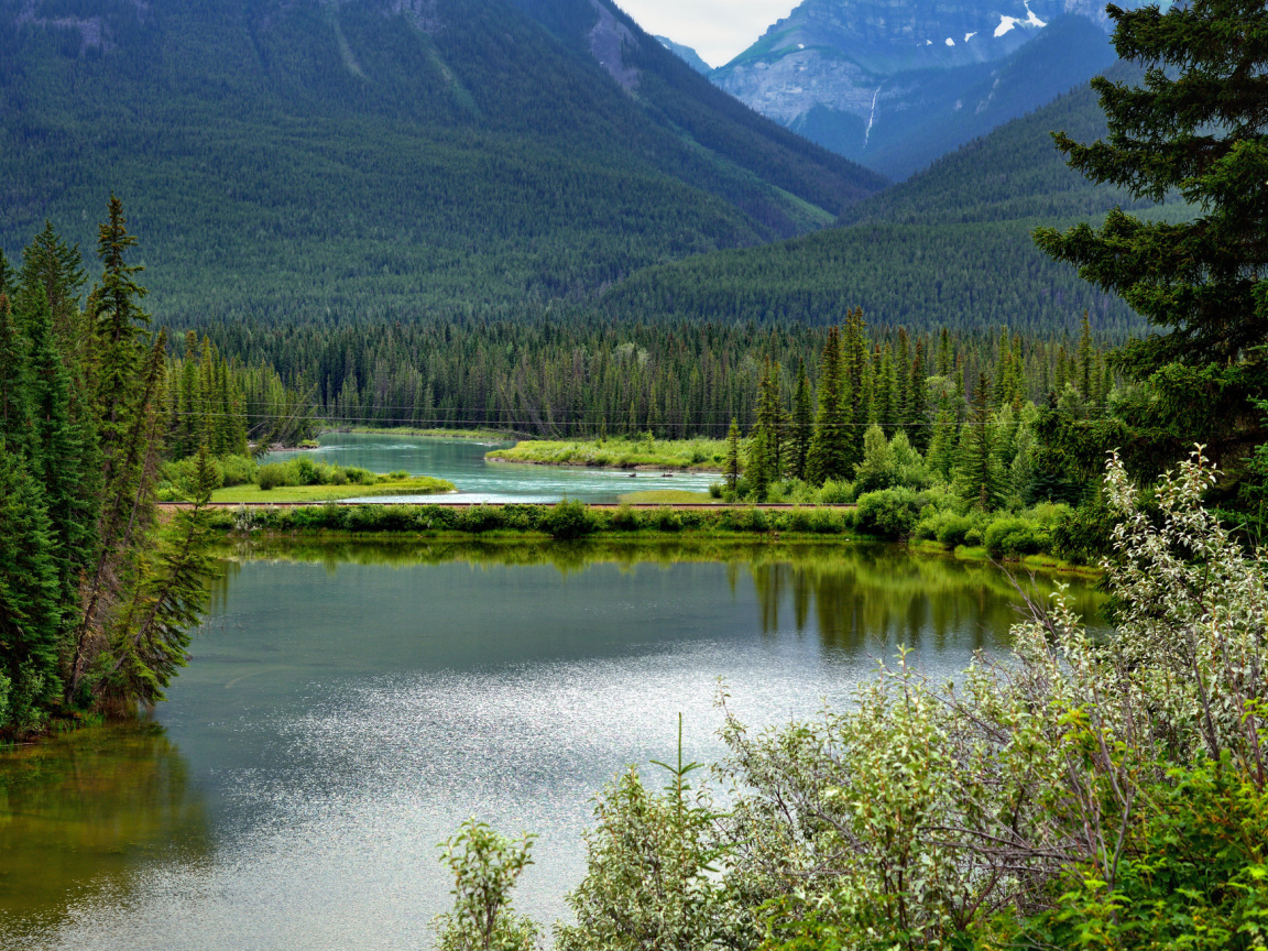 Живописный национальный парк Вуд-Баффало, Канада 