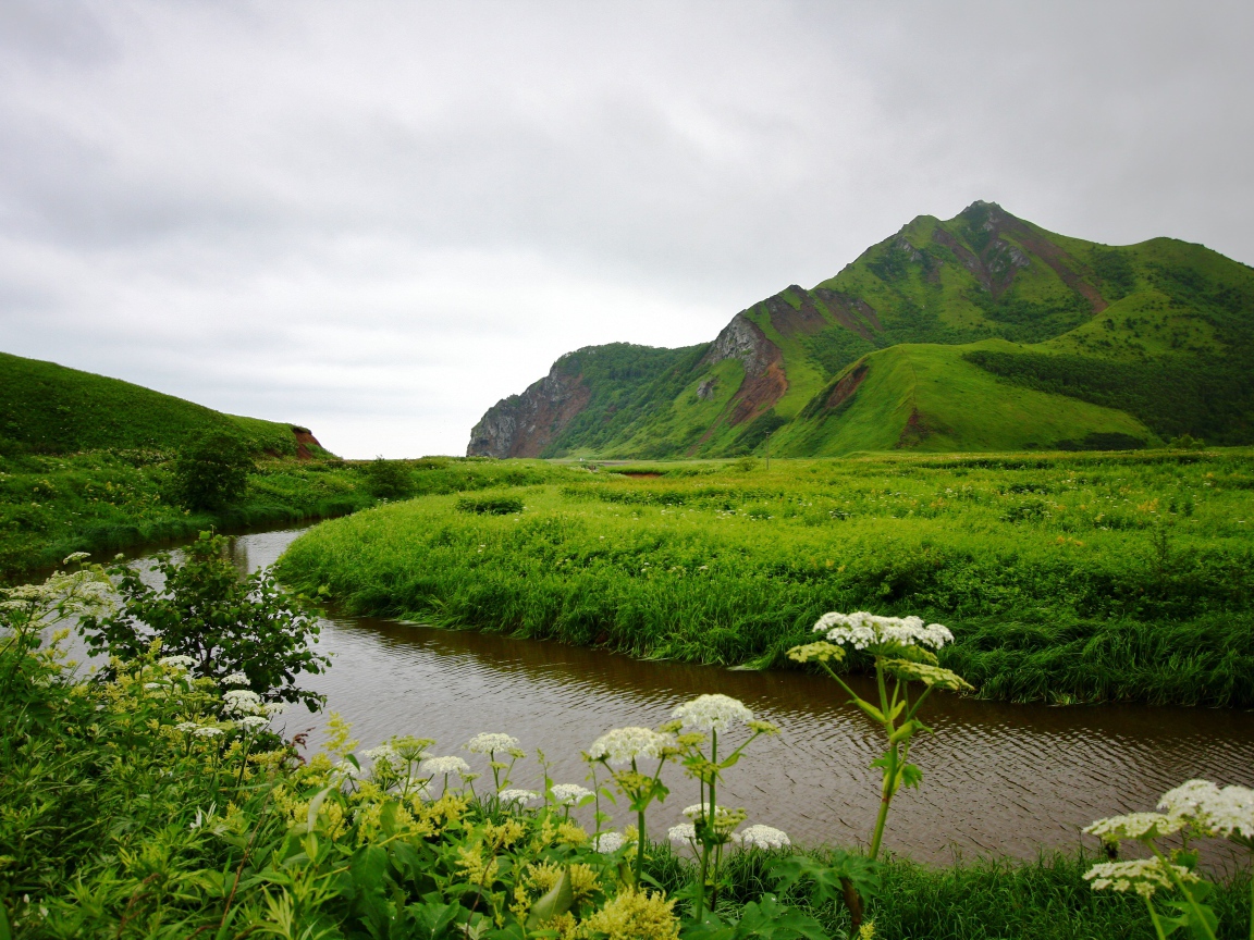 Живописная природа города Александровск-Сахалинский, Россия 