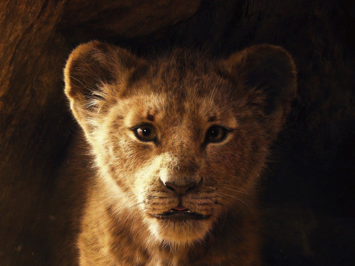 Львенок Симба персонаж нового мультфильма Король Лев, 2019