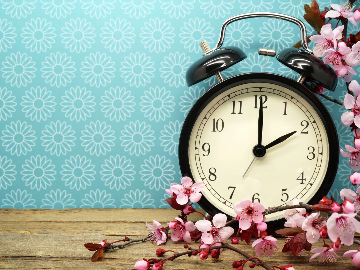 Черный будильник на голубом фоне с цветами абрикоса