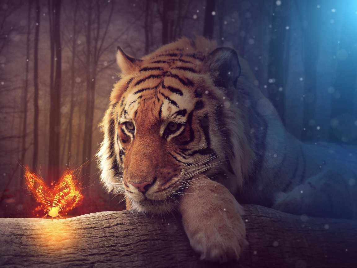 Большой тирг с волшебной огненной бабочкой, фэнтези