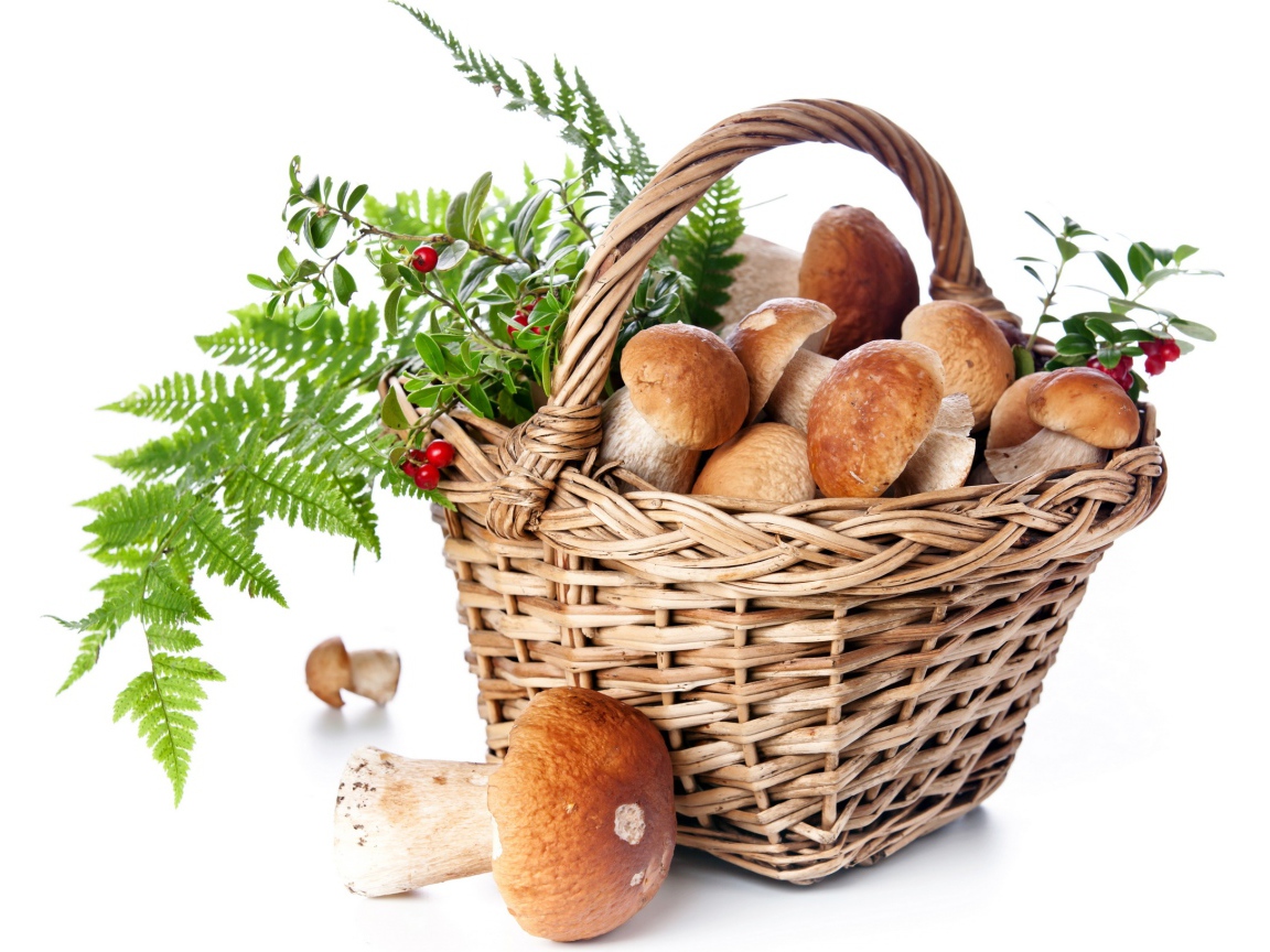Big basket of mushrooms with berries on a white background