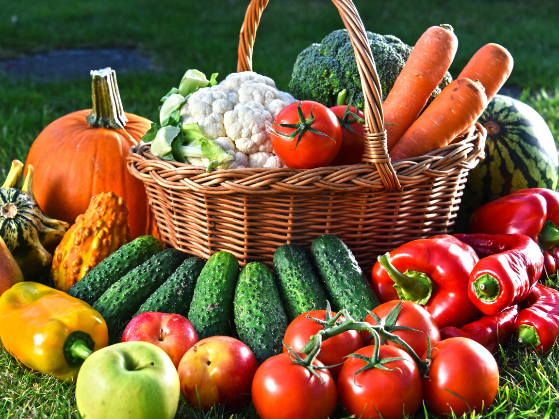 Свежие овощи и фрукты в корзине на зеленой траве