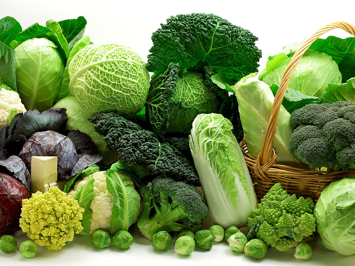Много разных видов капусты на белом фоне
