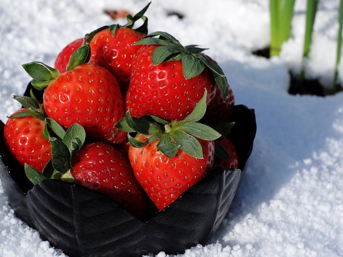 Тарелка со спелой красной клубникой стоит на белом снегу