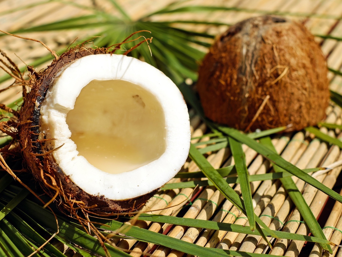 Разбитый кокос лежит на зеленых пальмовых листьях